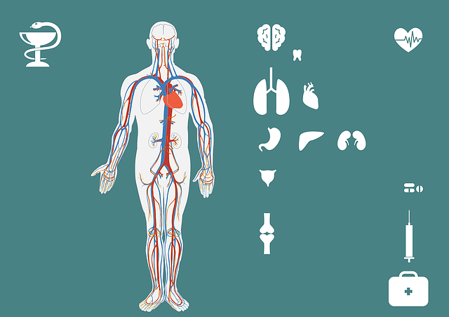 Nervous system supports