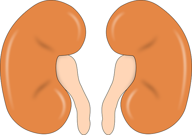 kidney problems