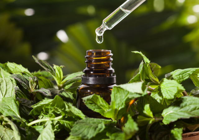 peppermint oil